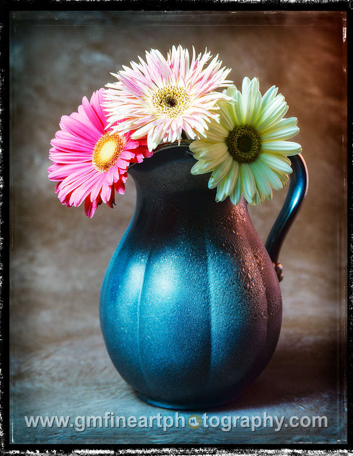 Pink and yellow large Gerber daisies in a textured metal tea pitcher
